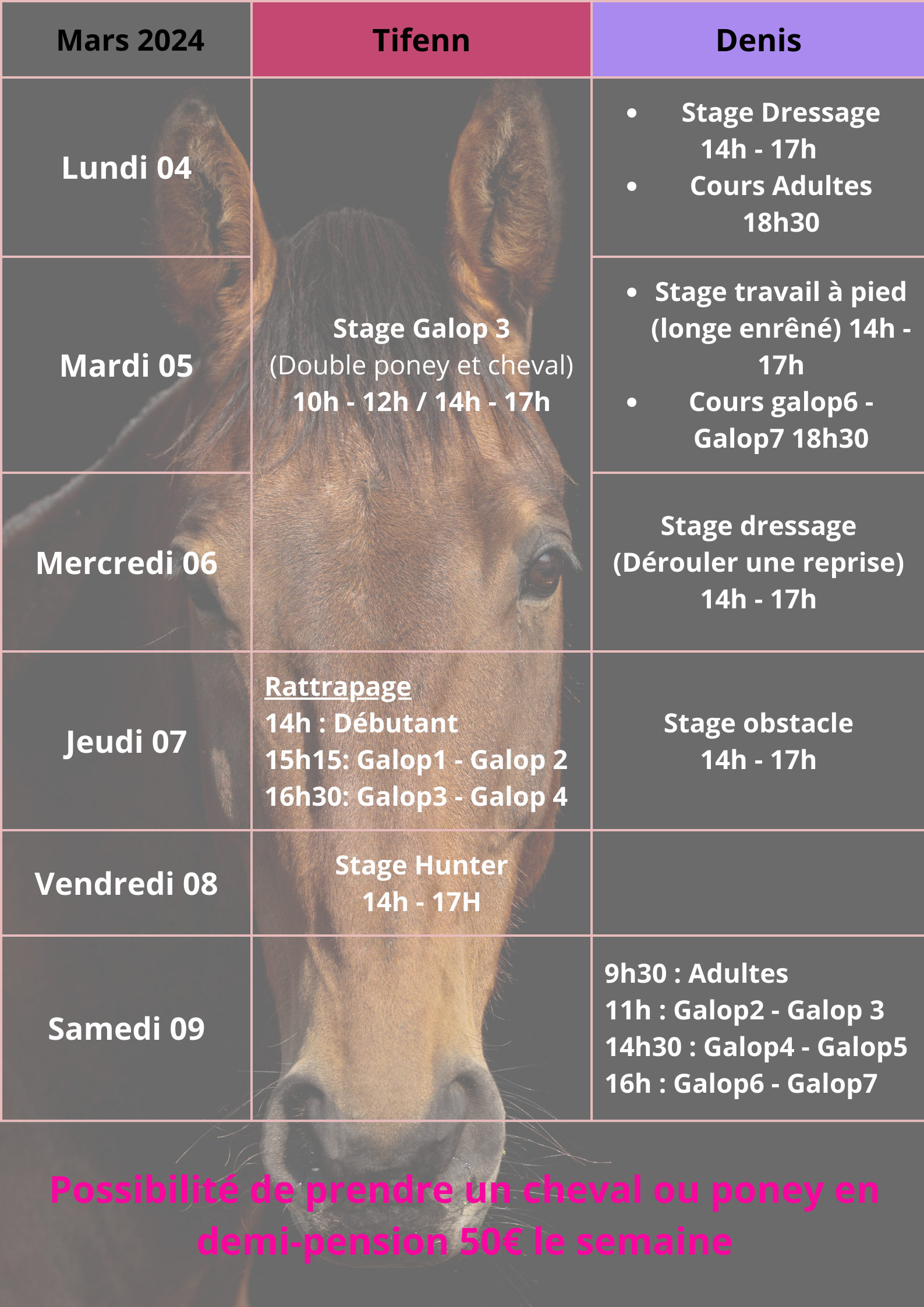 affiche stage semaine 2