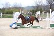 equitation chute