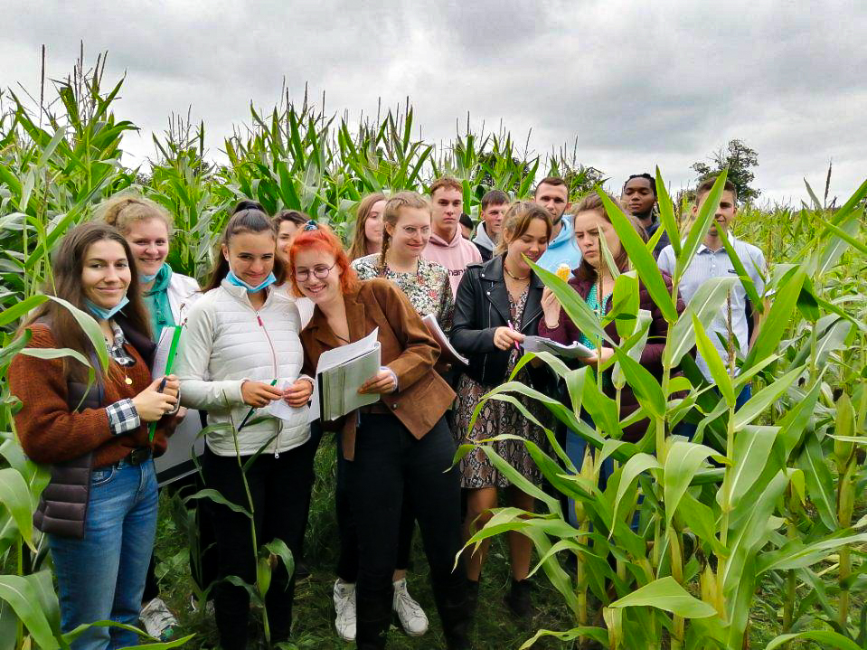 Les BTSA PA 2 dans les maïs