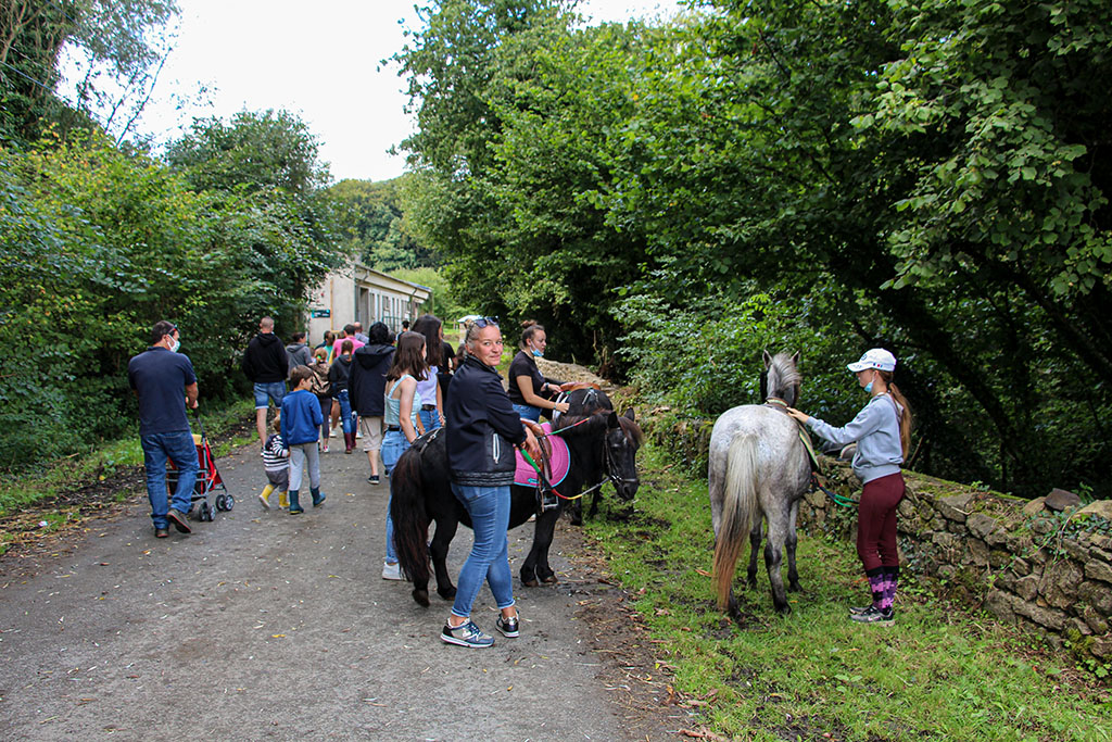 TALF Le baptême de poney