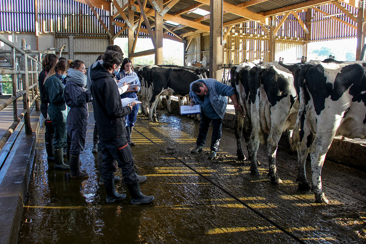 Formation pointage BTSA PA 1 exploitation agricole Kernilien 9