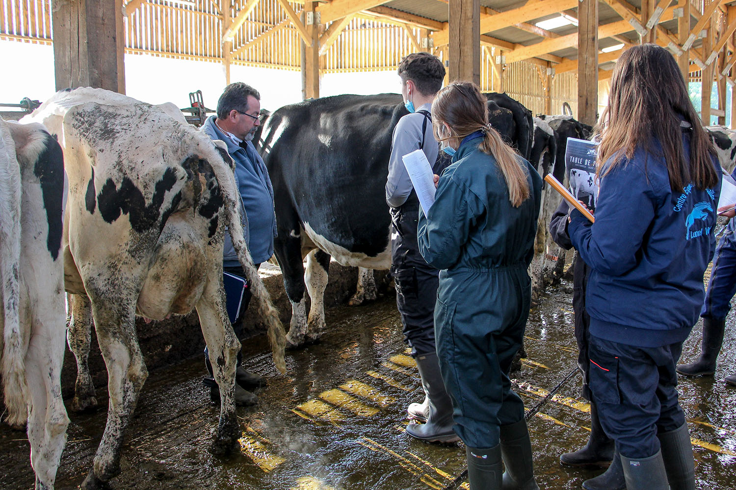 Formation pointage BTSA PA 1 exploitation agricole Kernilien 9