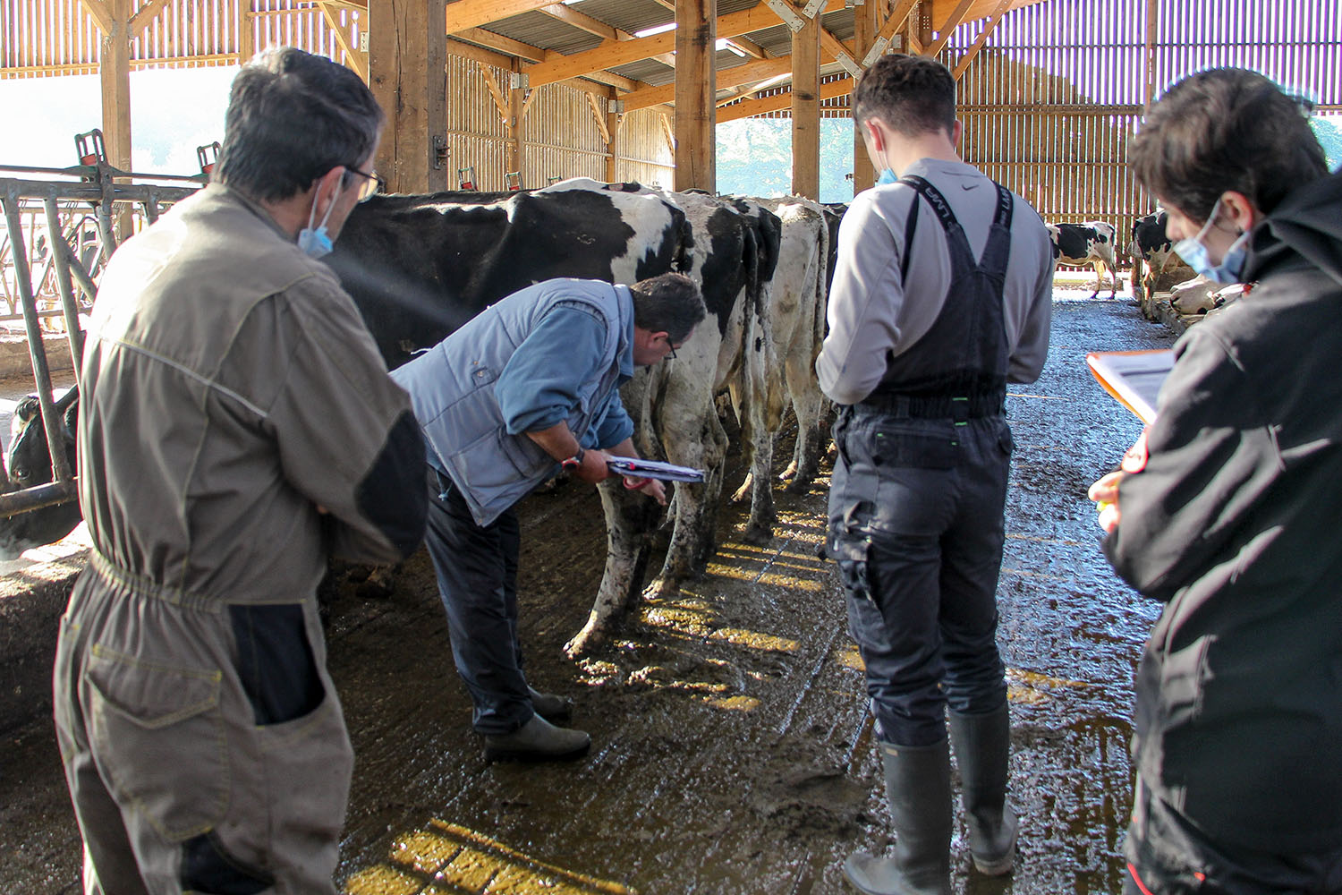 Formation pointage BTSA PA 1 exploitation agricole Kernilien 9