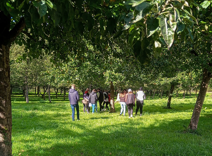 Visite de la cidrerie de 2 groupes délèves du Lycée du RESTMEUR octobre 6 Copie