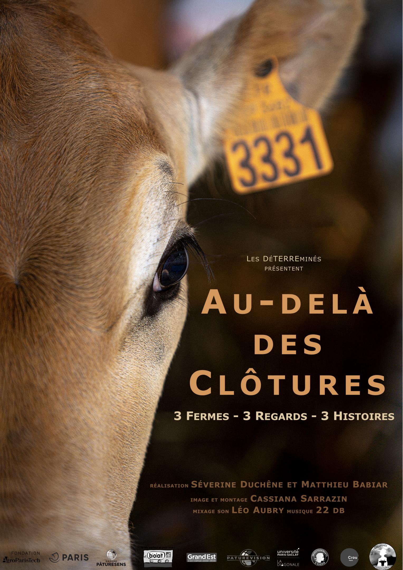 Affiche Au delà des clôtures 0