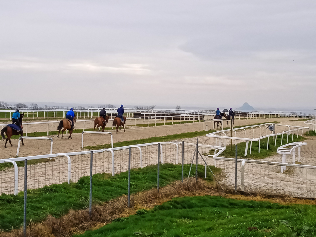 1 mars centre galop baie 5