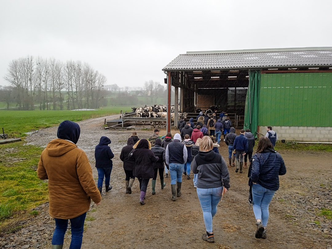 1 mars centre galop baie 5