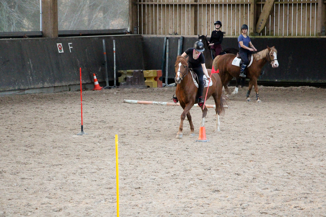 Pony games 14 mars trié et retouché 1