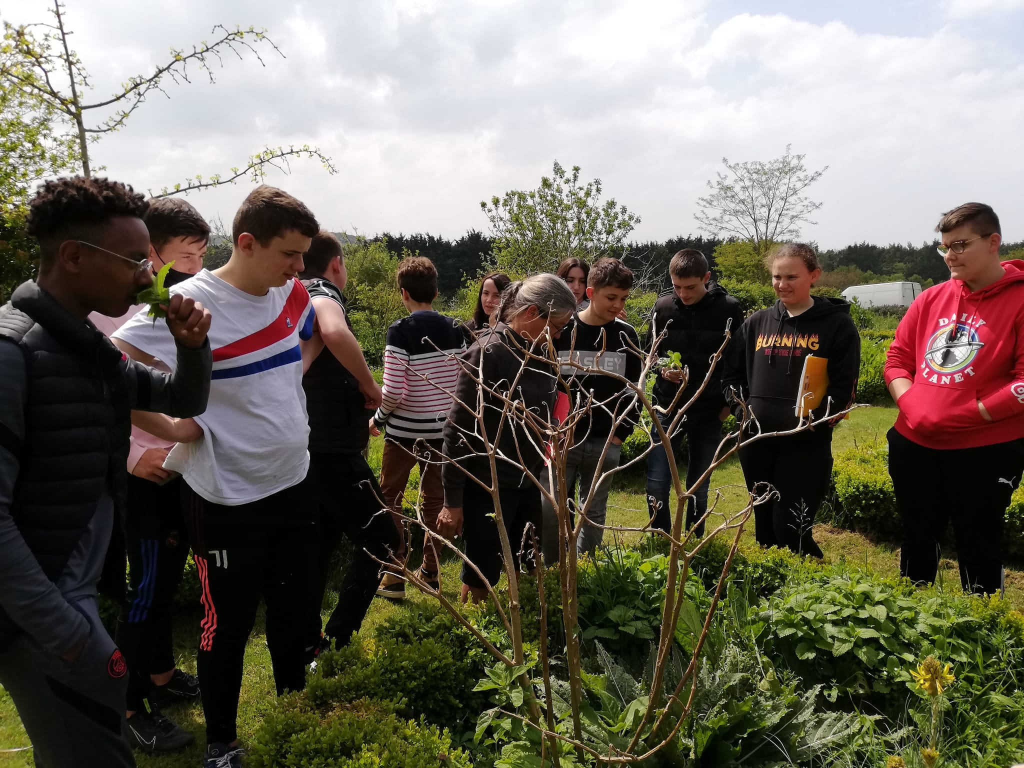 Sortie à herbarius avec les 4ème 1