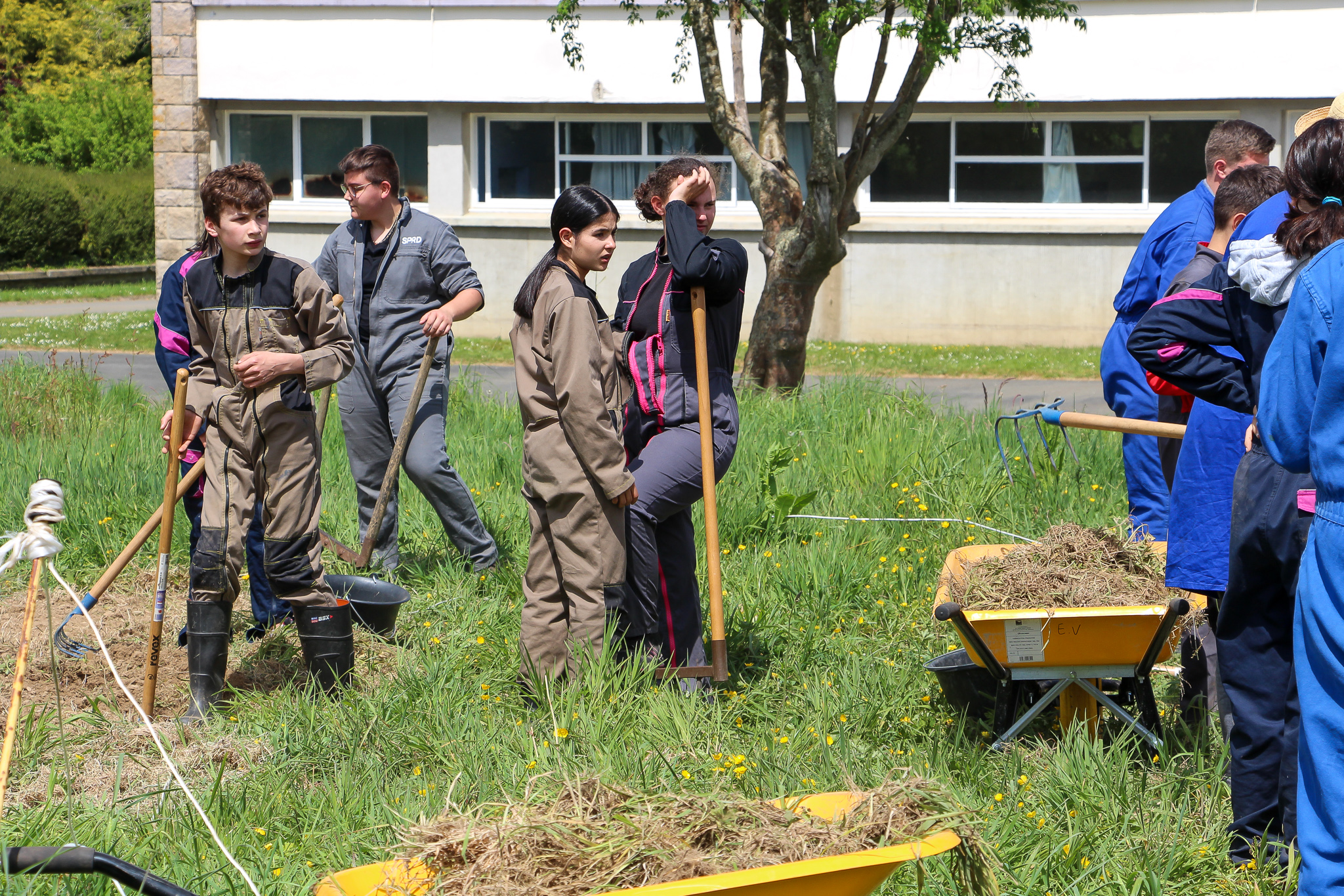 4e jardin médiéval kerni 1