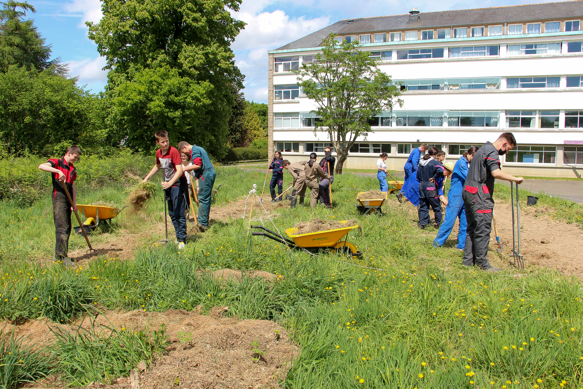 4e jardin médiéval kerni 1