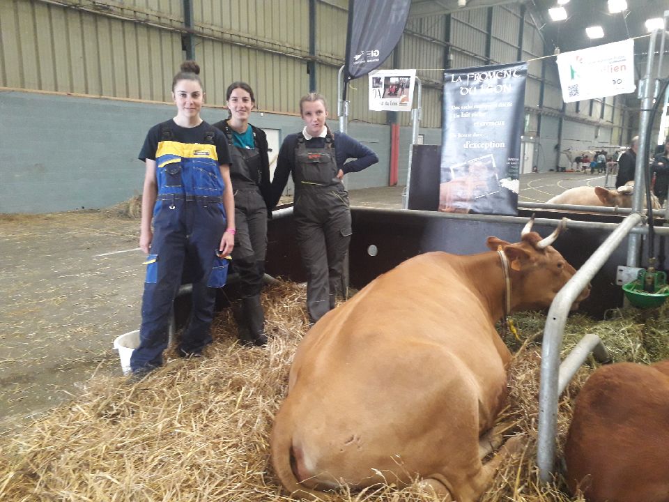 Salon de lagriculture des Côtes dArmor 2022