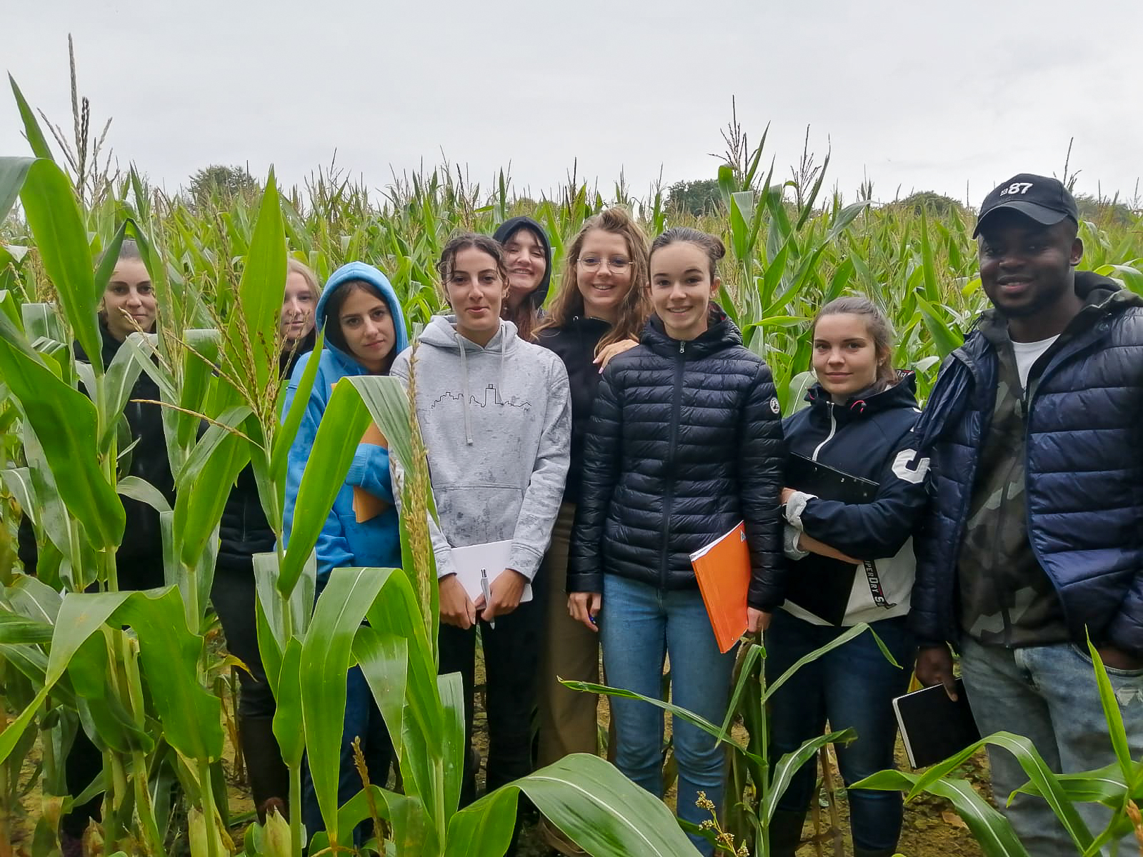 BTS 2 PA parcelle de maïs estimation de rendement 4