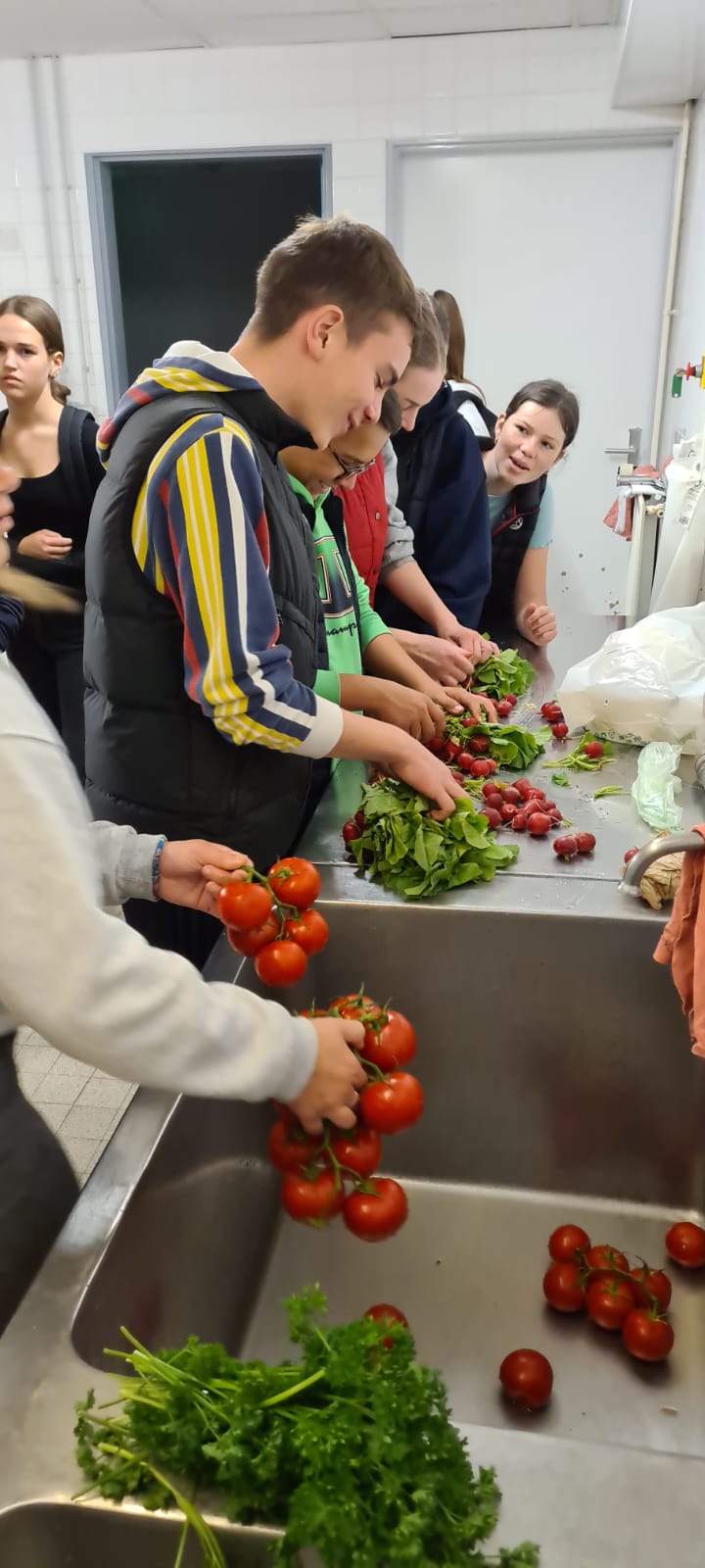 Marché des producteurs locaux cuisine puis picnic fin de semaine esdd 3