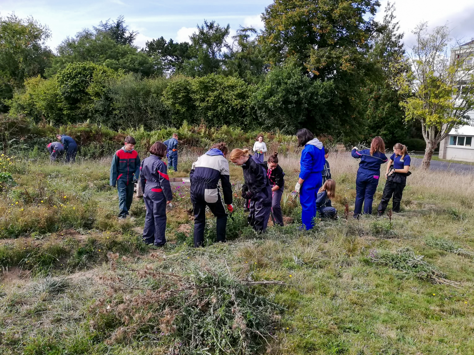 Première séance de désherbage du jardin médiéval par les 4ème 3