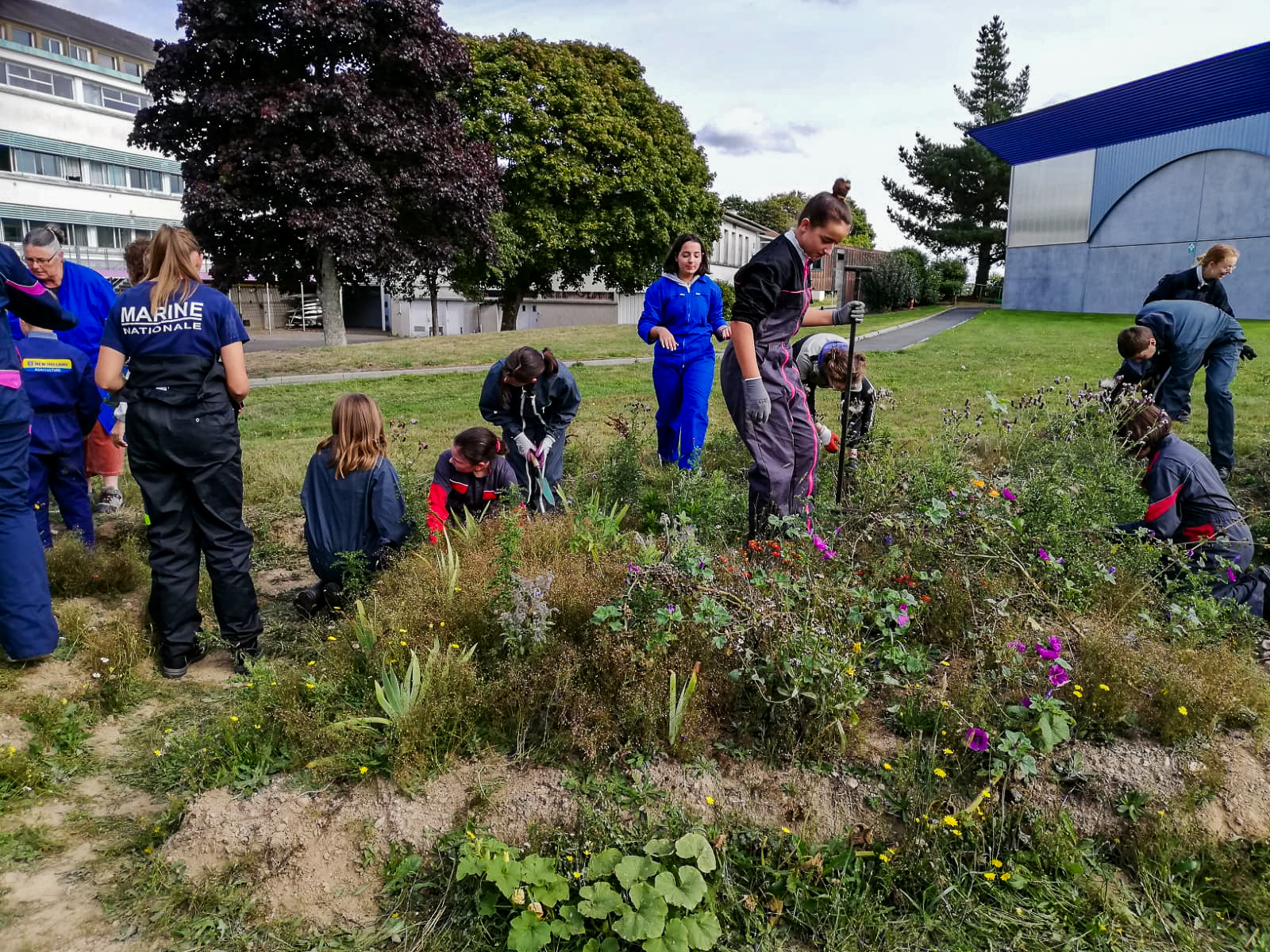 Première séance de désherbage du jardin médiéval par les 4ème 7