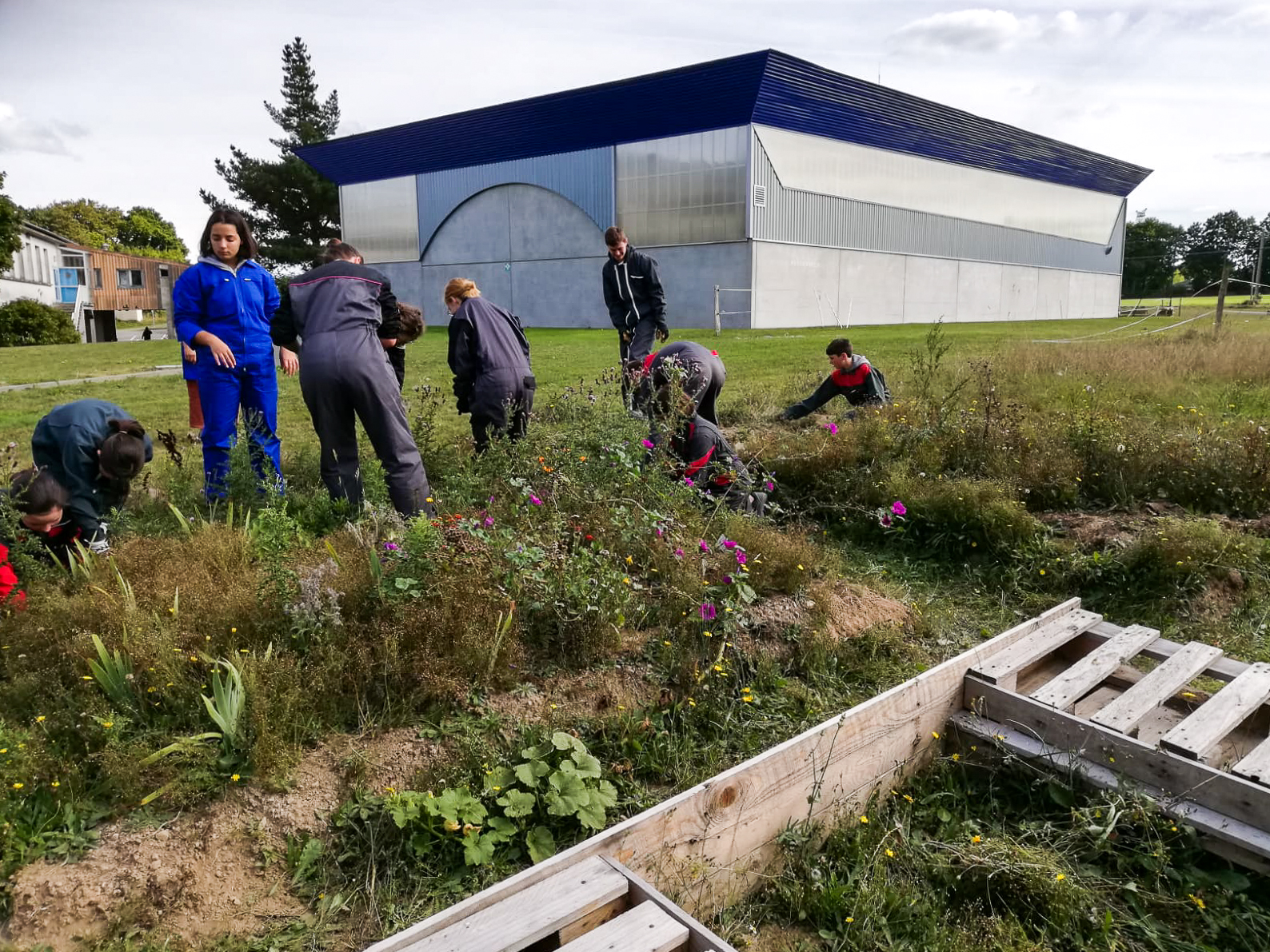 Première séance de désherbage du jardin médiéval par les 4ème 3