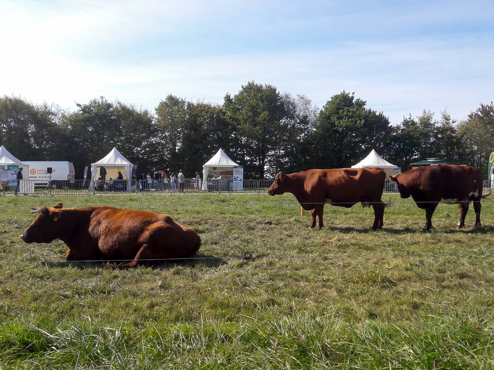 BTSA Sortie au salon La Terre est Notre Métier à Retiers 4