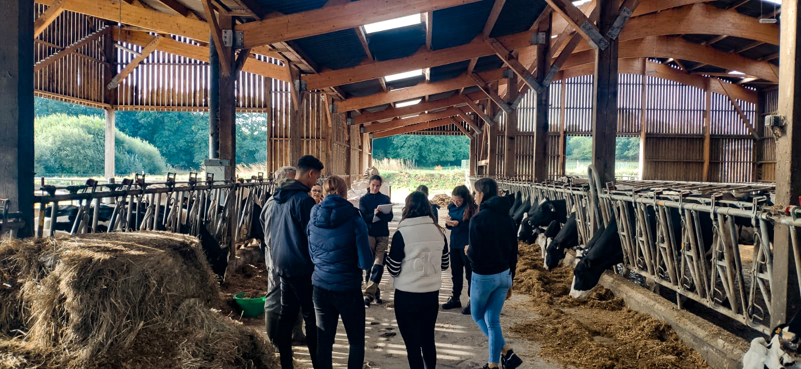 Visite exploitation de Kernilien en groupe à Kernilien 3 gp de 9 sur maïs porcs et VL 1