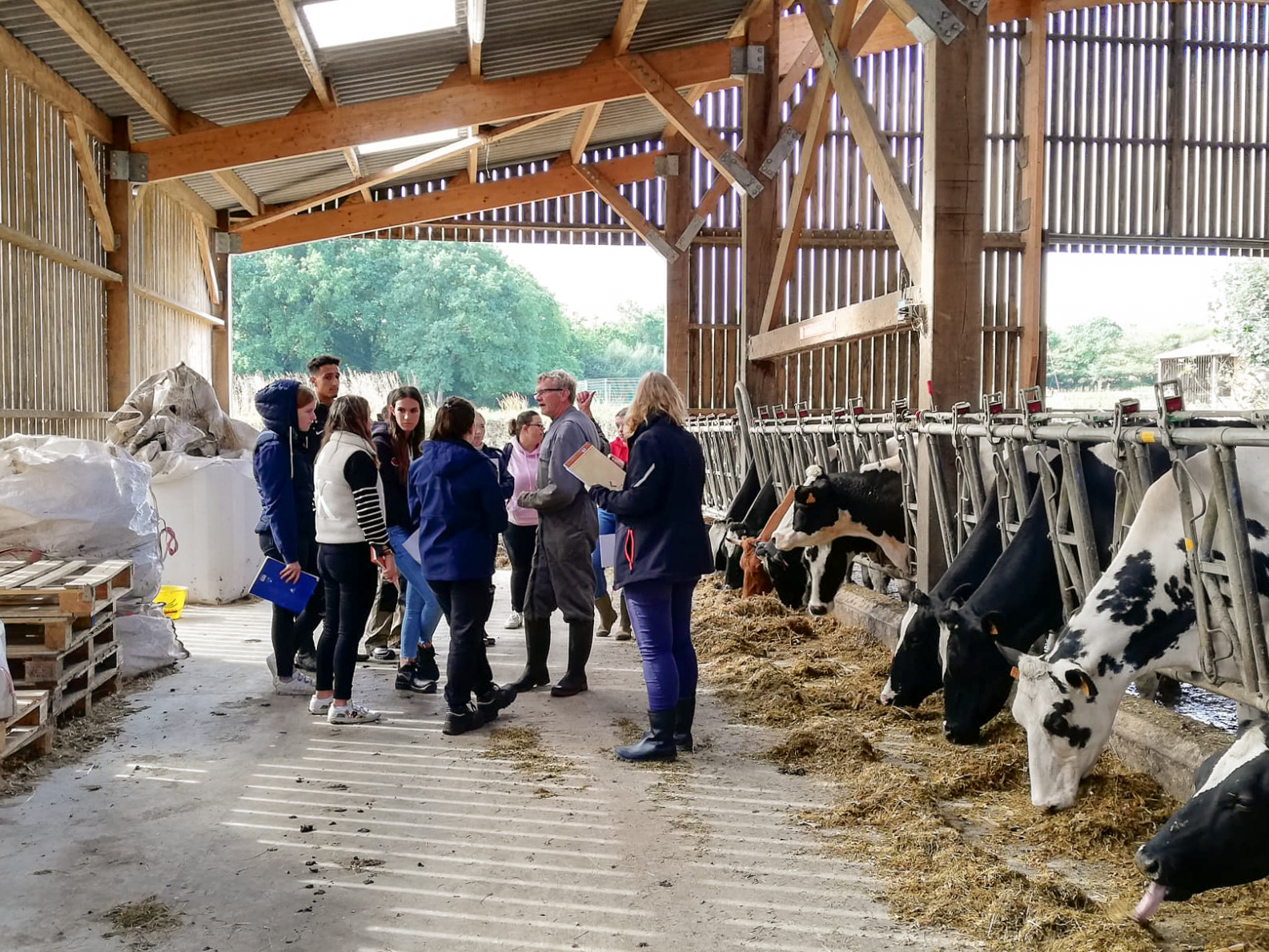 Visite exploitation de Kernilien en groupe à Kernilien 3 gp de 9 sur maïs porcs et VL 2