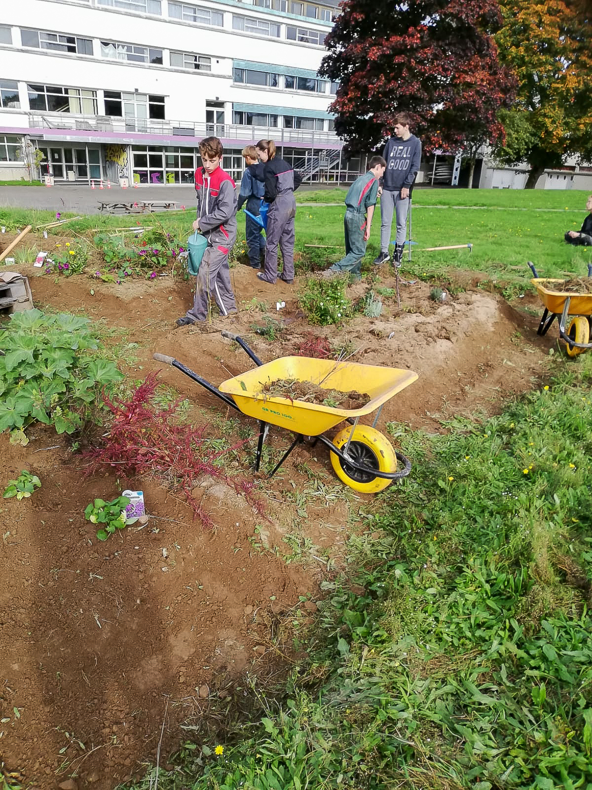 4e Dernière séance pour ce trimestre fin du désherbage sur les parcelles et plantation 6