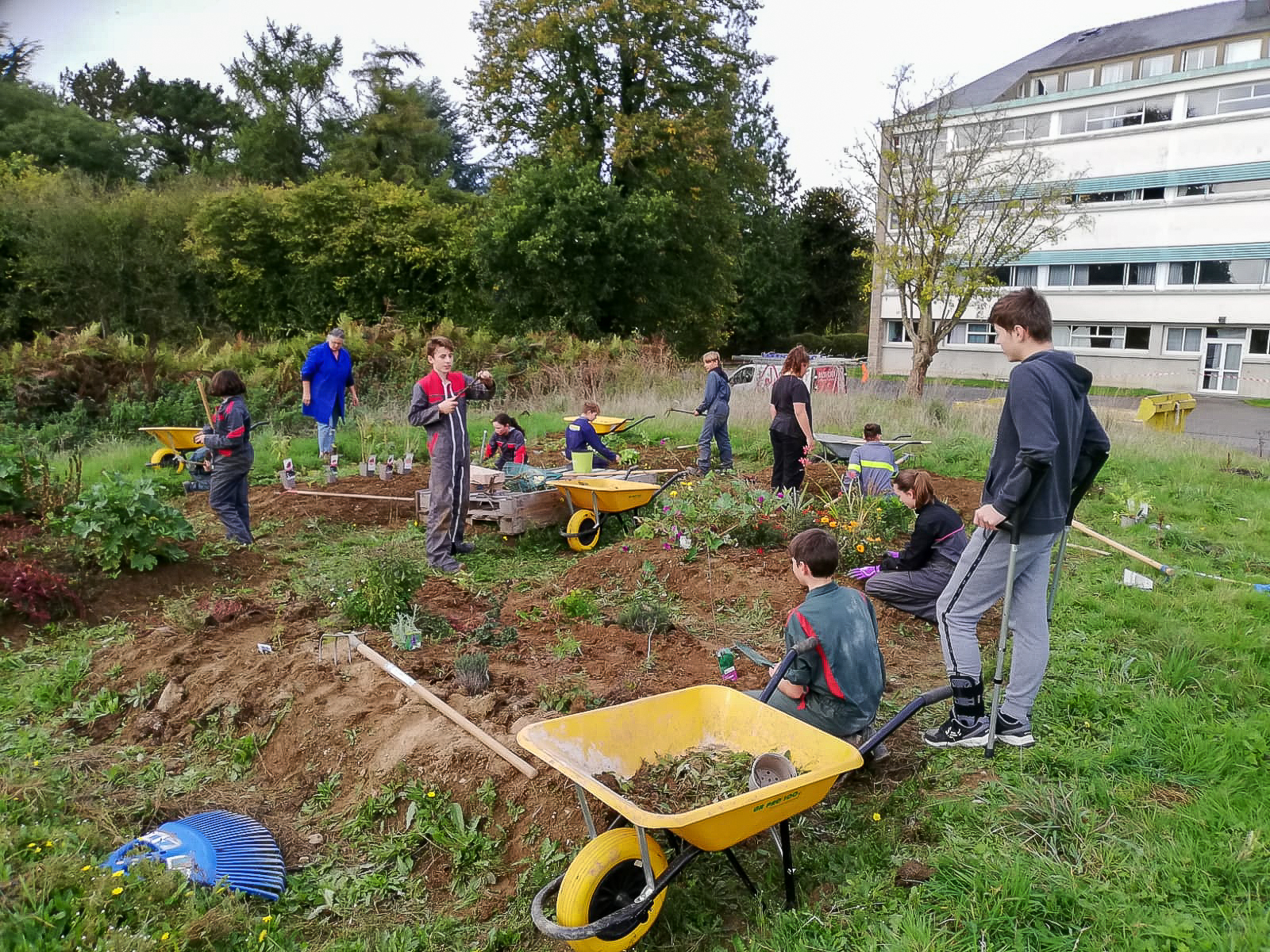 4e Dernière séance pour ce trimestre fin du désherbage sur les parcelles et plantation 6