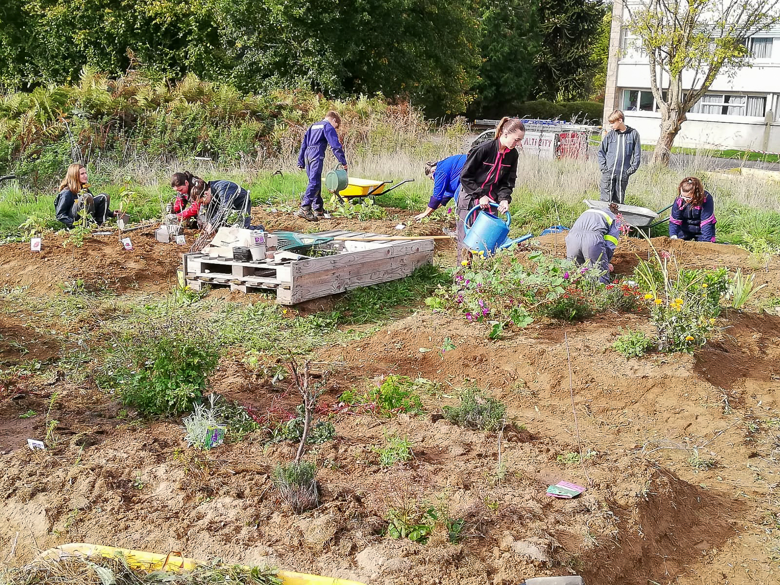 4e Dernière séance pour ce trimestre fin du désherbage sur les parcelles et plantation 6