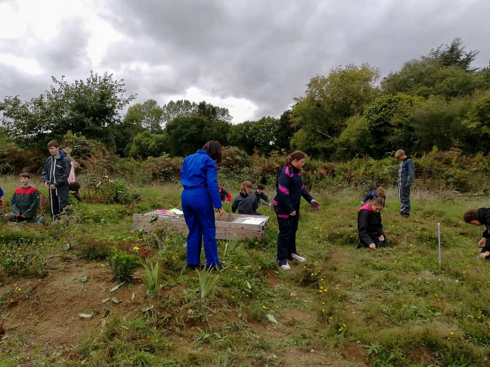 Suite du désherbage du jardin médiéval avec les 4eme 1