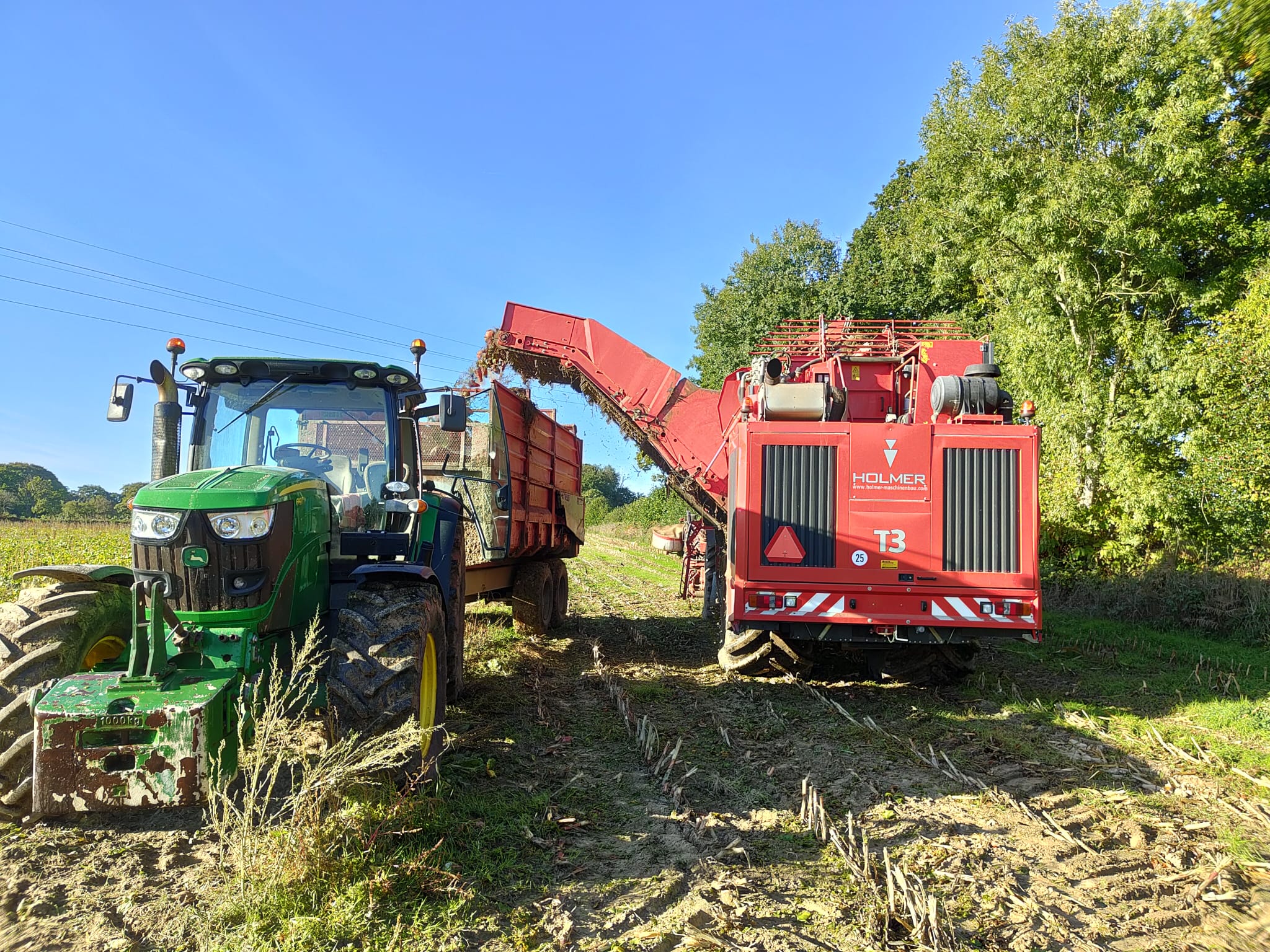 arrachage dun hectare de betteraves fourragères 1