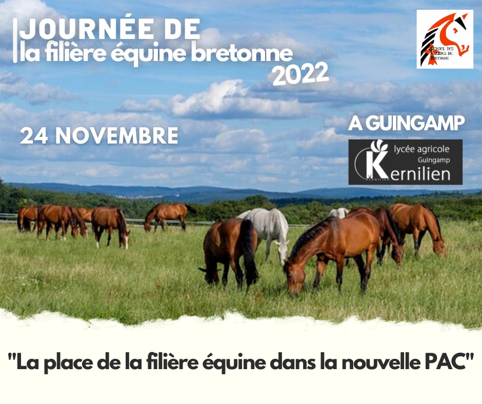 Affiche CREB 24 nov