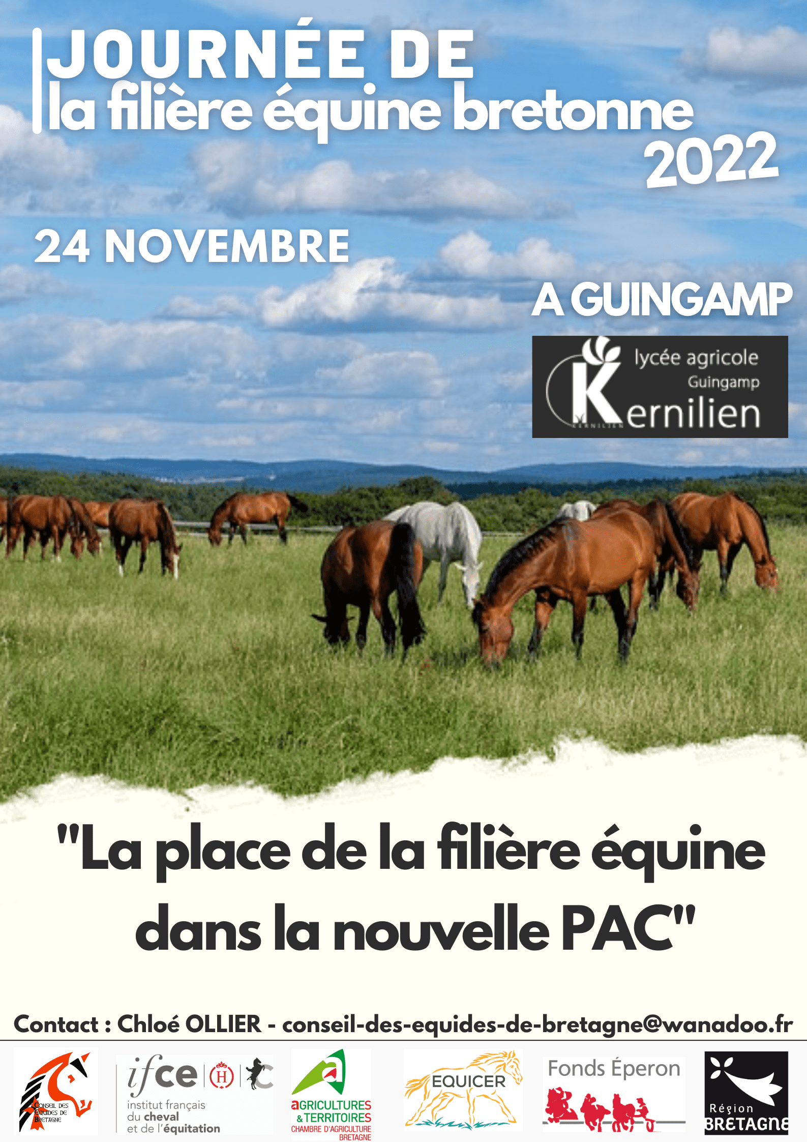 Affiche CREB 24 nov