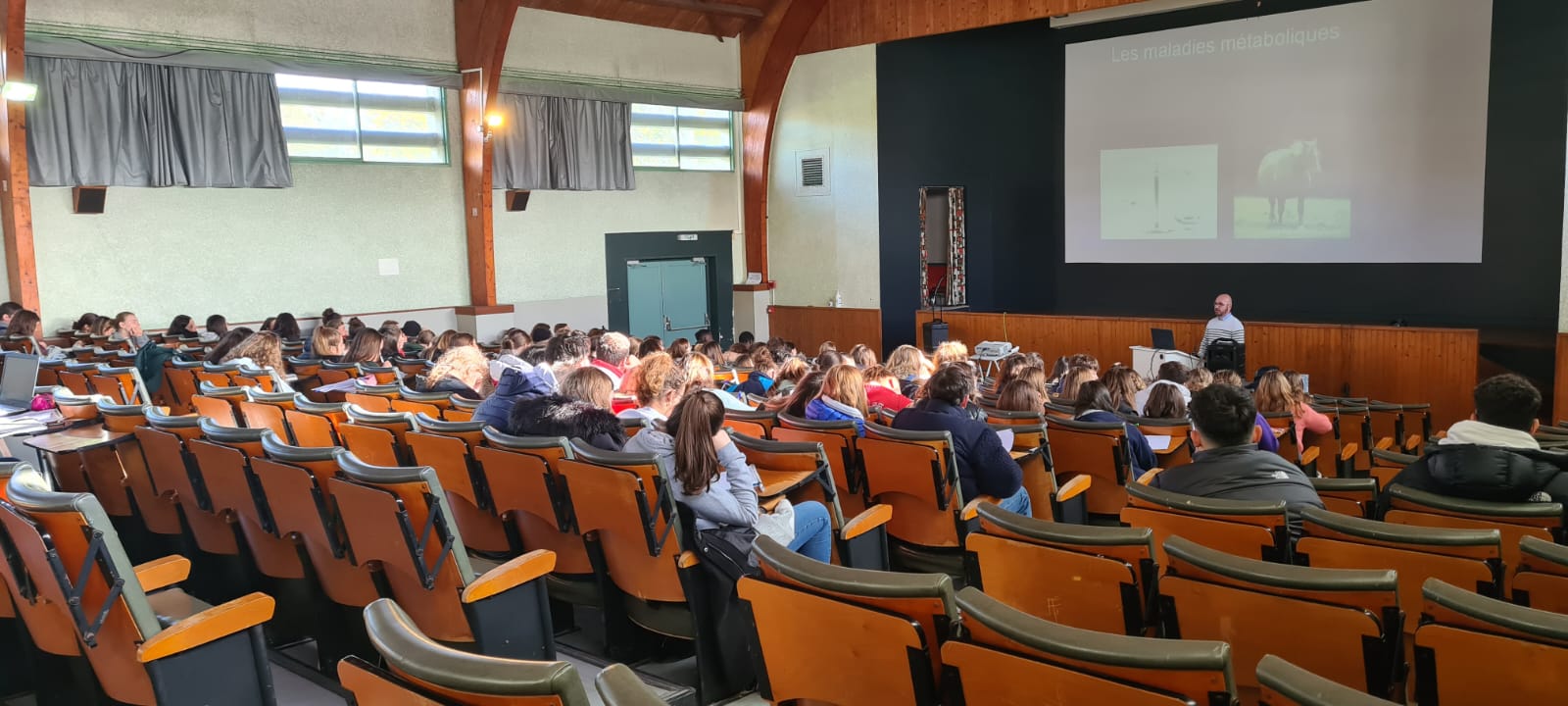 Journée alimentation équine EQUIGOLD 2022 1