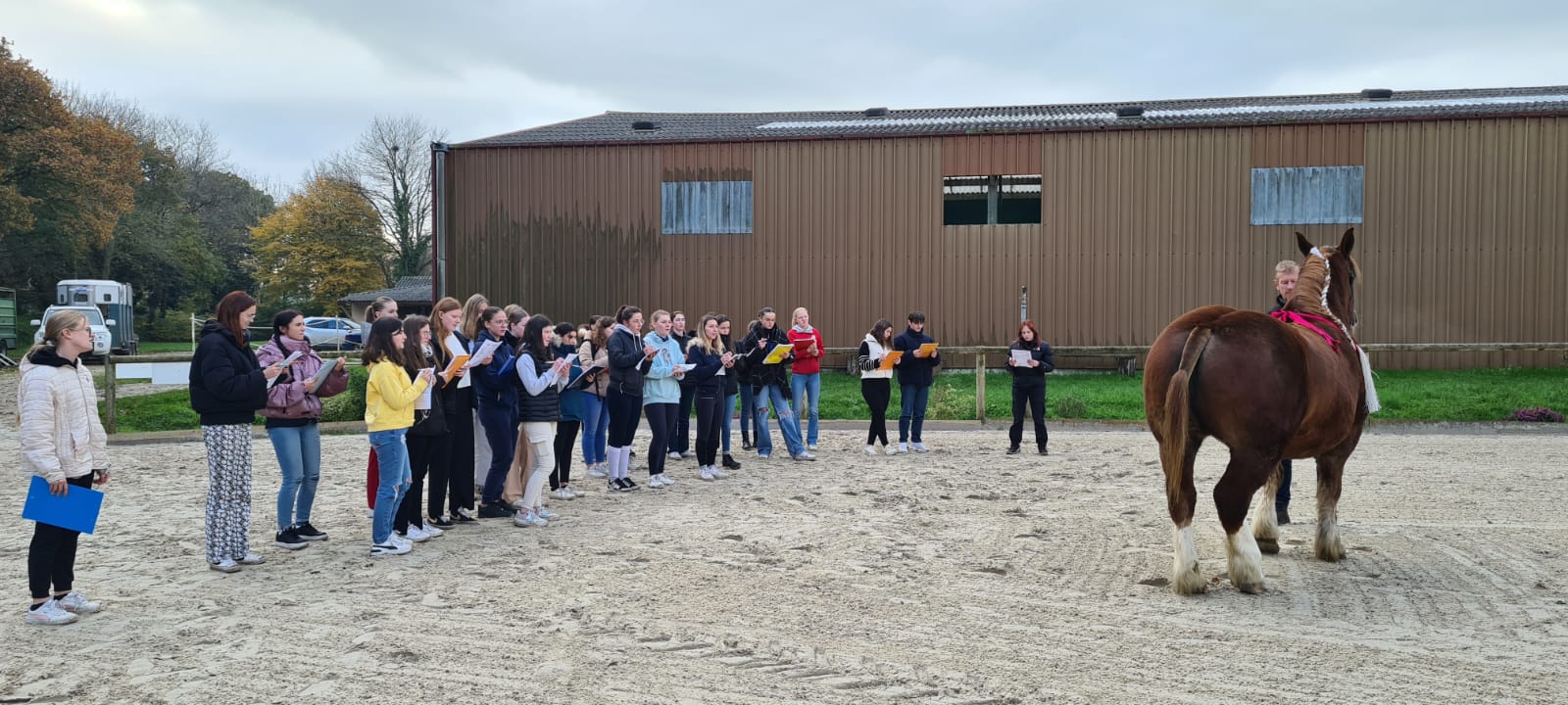 Finale dep pontage équin Pommerit 3