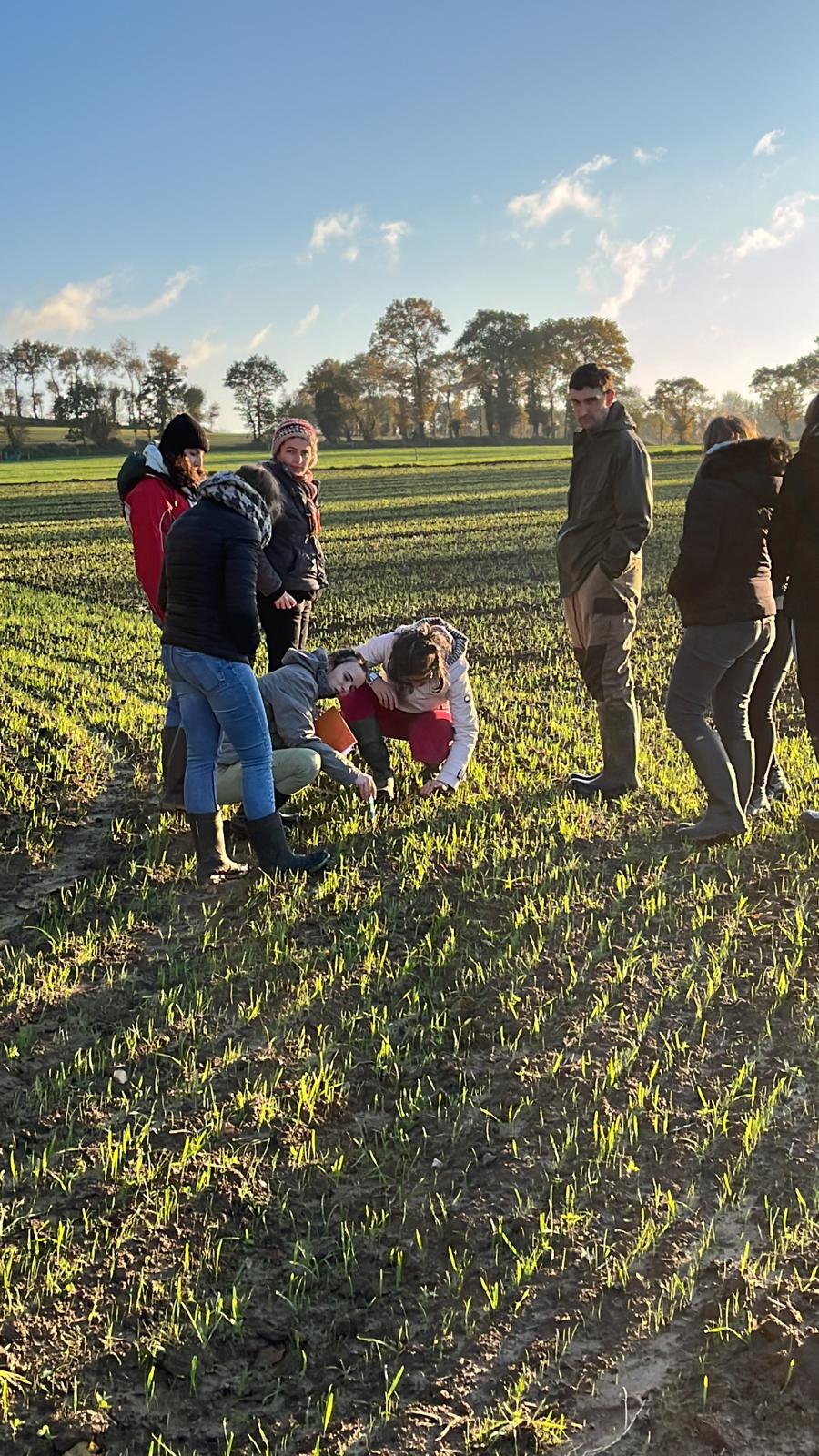  BTSA PA 2 visite de lexploitation de Jérôme OIZEL lieu dit Bel Air 3