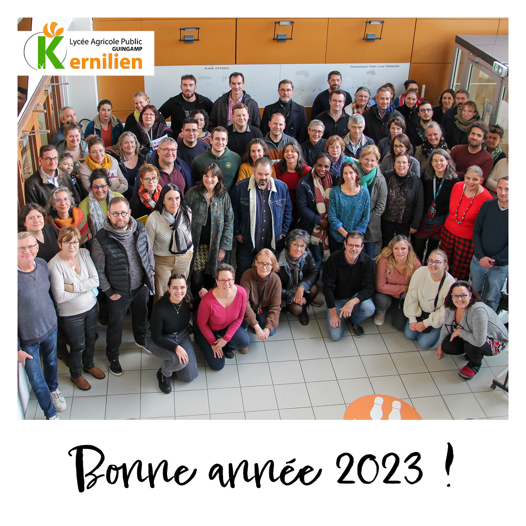 bonne année version insta 2023 1