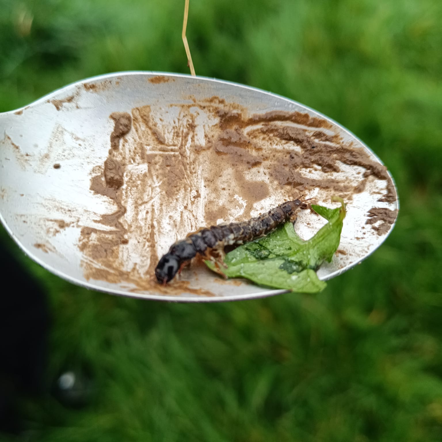 WhatsApp Image 2026 03 25 at 10.57.17