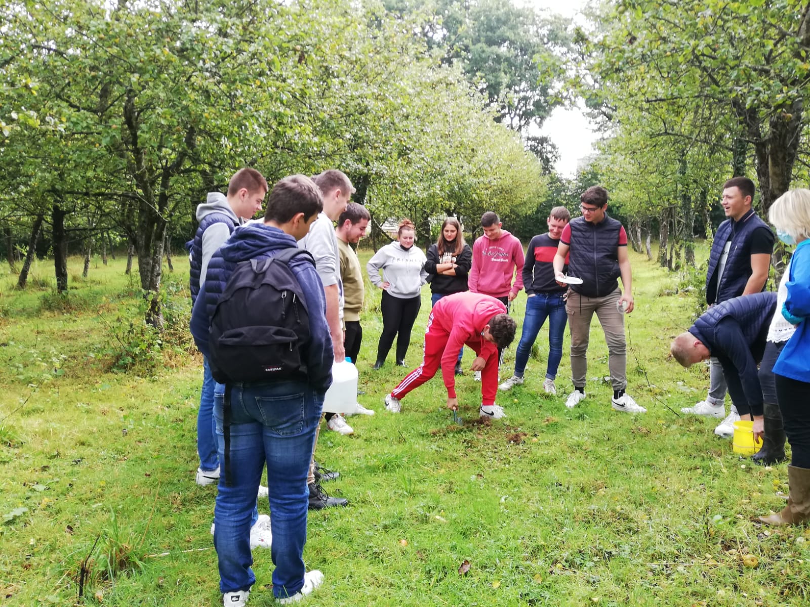 Pluri en term cgea. Pluri agro et bio. Mise en place de piège Barber et de cuvette jaune pour recenser la biodiversité et la comparer entre des parcelles de verger bois prairie pâturée et betterave 2