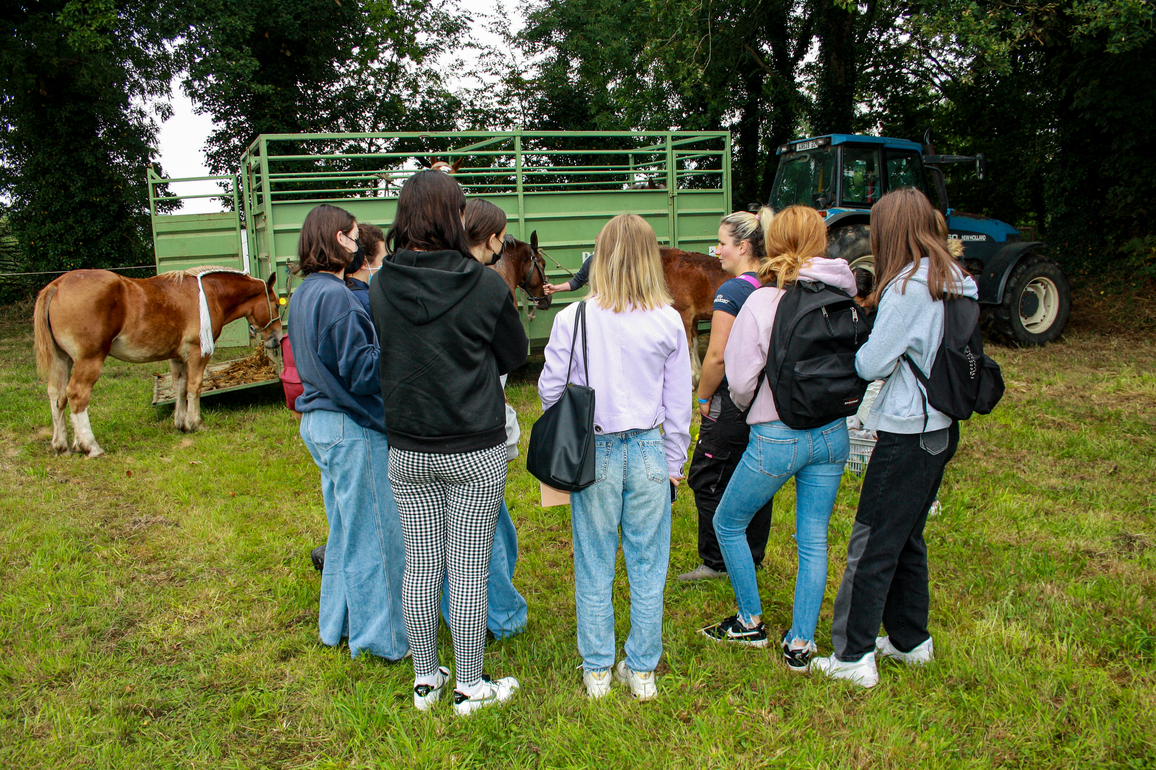 2nd Foire aux poulains Bulat Pestivien 3