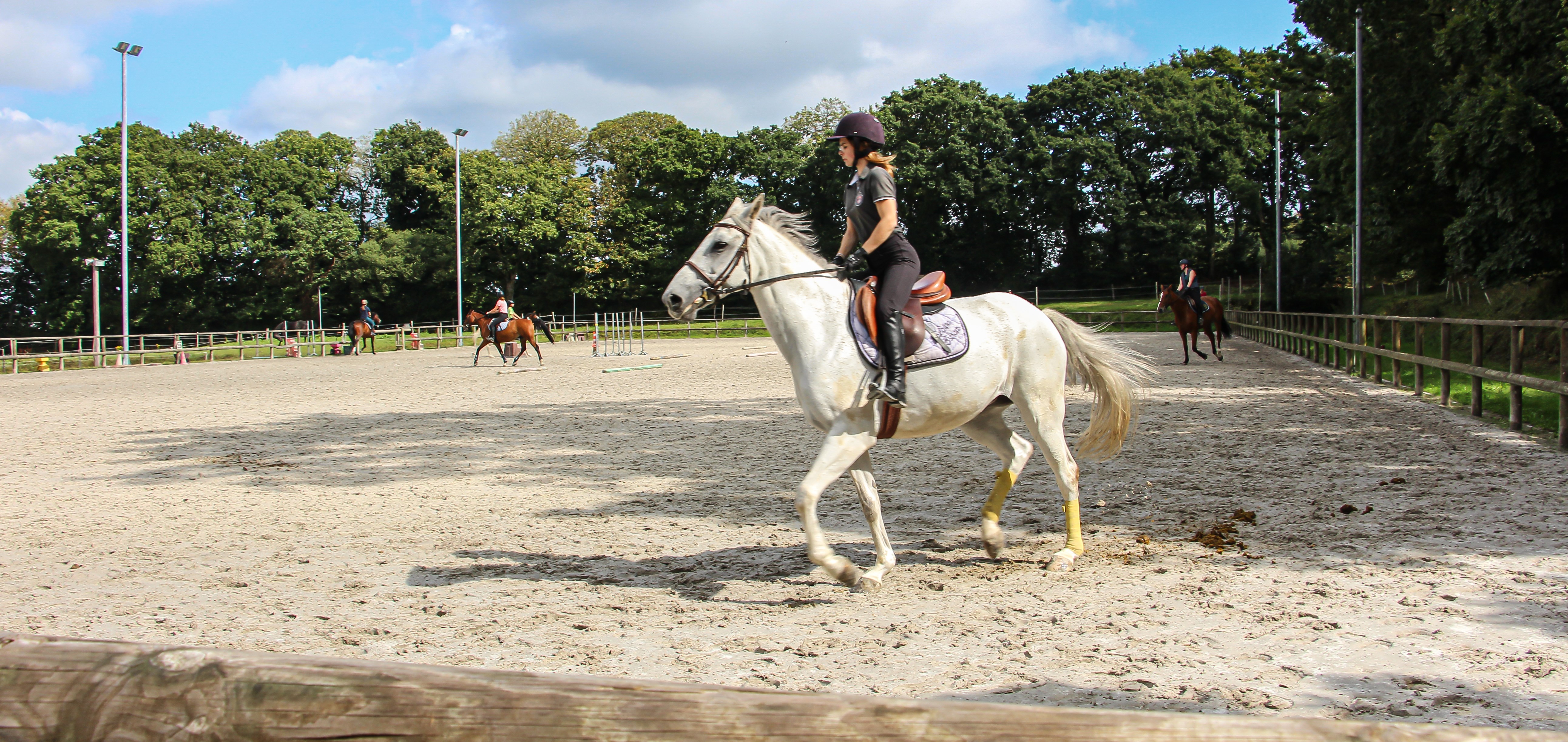 Equitation